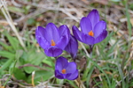 photo thumbnail #7