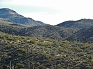 photo thumbnail #7
