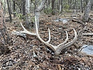 photo thumbnail #7