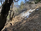 photo thumbnail #1