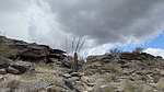 photo thumbnail #5