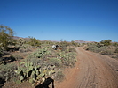 photo thumbnail #10