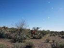 photo thumbnail #11