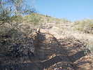 photo thumbnail #14
