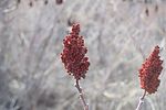 photo thumbnail #15