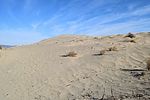 photo thumbnail #14