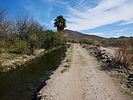 photo thumbnail #6