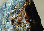 photo thumbnail #10