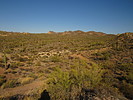 photo thumbnail #4