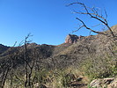 photo thumbnail #1