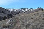 photo thumbnail #12