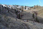 photo thumbnail #15