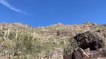 photo thumbnail #13