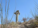 photo thumbnail #8