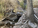 photo thumbnail #15