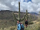 photo thumbnail #11
