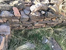 photo thumbnail #10