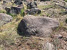 photo thumbnail #14