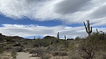 photo thumbnail #2
