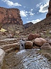 photo thumbnail #14