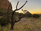 photo thumbnail #9