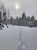 photo thumbnail #11