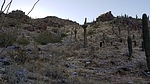 photo thumbnail #9