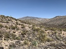 photo thumbnail #3