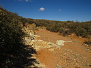 photo thumbnail #12