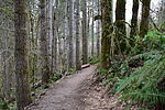 photo thumbnail #1