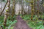 photo thumbnail #5