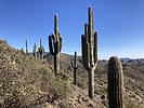 photo thumbnail #8