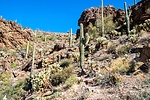 photo thumbnail #3