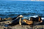 photo thumbnail #11