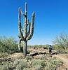 photo thumbnail #6