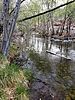 photo thumbnail #2