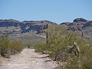 photo thumbnail #7