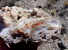 photo thumbnail #15