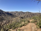 photo thumbnail #2