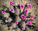 photo thumbnail #15