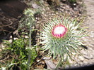 photo thumbnail #14