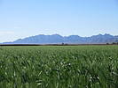 photo thumbnail #5