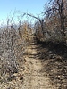 photo thumbnail #10