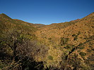 photo thumbnail #8