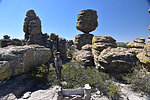 photo thumbnail #11
