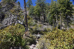 photo thumbnail #9
