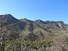 photo thumbnail #3
