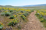 photo thumbnail #7