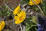 photo thumbnail #9