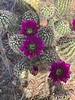 photo thumbnail #8